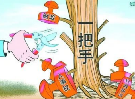 你確定你們的項目是“一把手工程”？